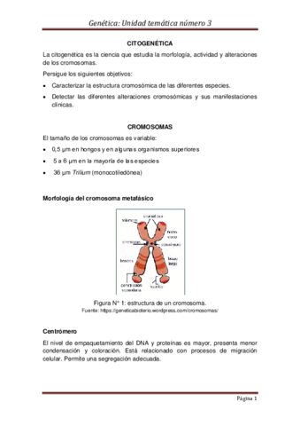 CITOGENETICA-PARTE-I.pdf