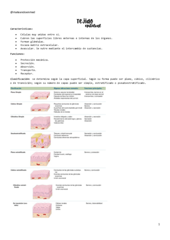 TEJIDO-EPITELIAL.pdf