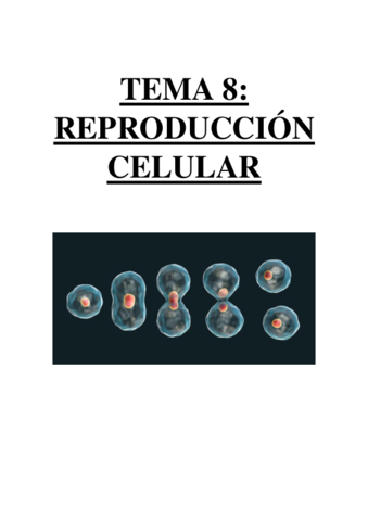 TEMA 8 - REPRODUCCIÓN CELULAR.pdf