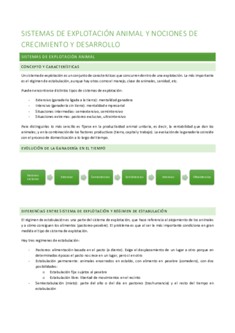 Produccion-1o-parcial.pdf