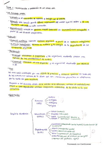 tema-1-organizacion-y-composicion-de-los-sv-tema-2-la-celula-tema-3-tejidos-vegetales.pdf