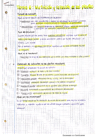 tema-6-la-nutricion-y-relacion-en-las-plantas-tema-7-reproduccion-en-las-plantas.pdf