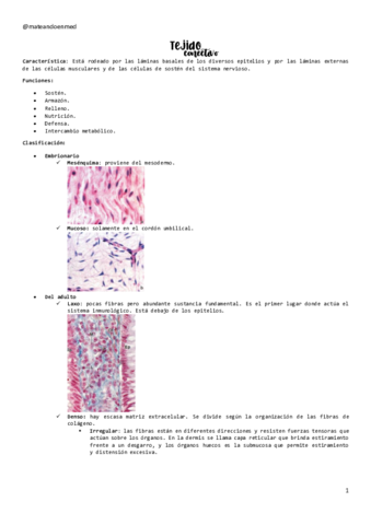 TEJIDO-CONECTIVO.pdf