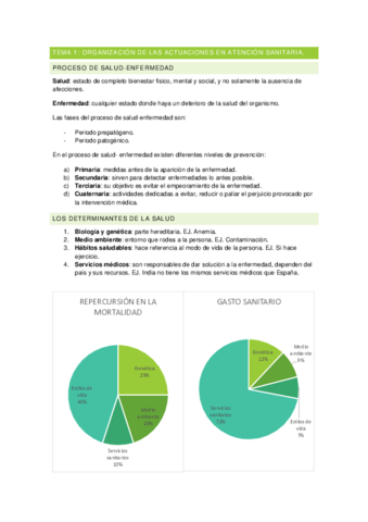 RESUMEN-T1-ATS.pdf