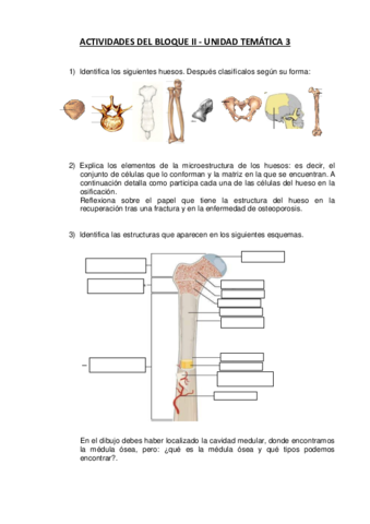 Actividades-de-la-Unidad-Tematica-3-de-ATS.pdf