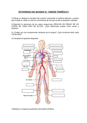 Actividades-de-la-Unidad-Tematica-5-de-ATS.pdf