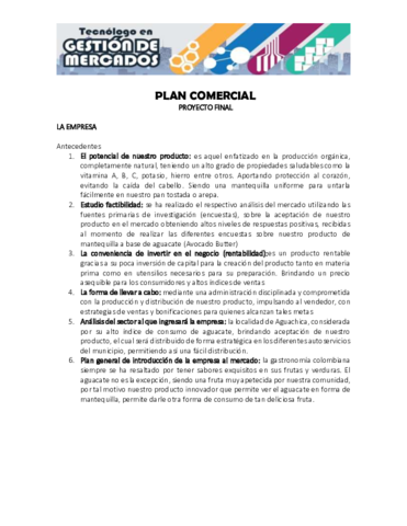 Formato-Plan-Comercial-4-1.pdf