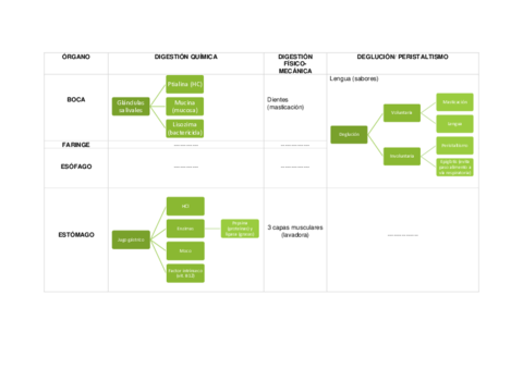 PROCESO-DIGESTION.pdf