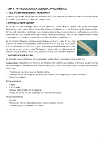 2n-PARCIAL-DFM-.pdf