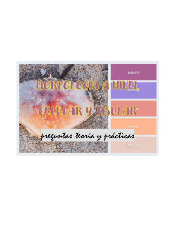 MCEL-P1-Preguntas-2020.pdf