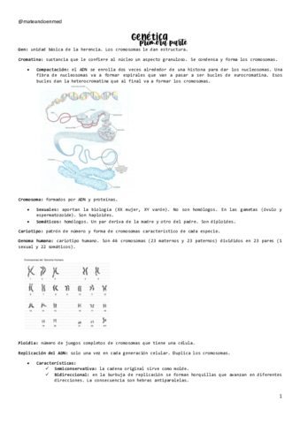 GENETICA-1.pdf