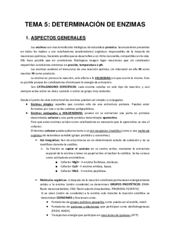 TEMA-5.pdf