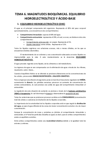 TEMA-6.pdf