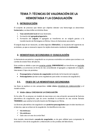 TEMA-7.pdf