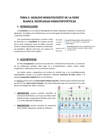 TEMA-5.pdf