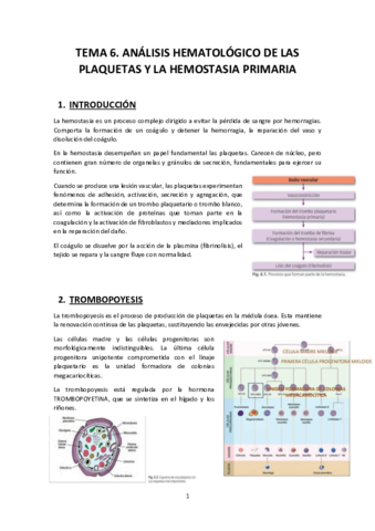 TEMA-6.pdf