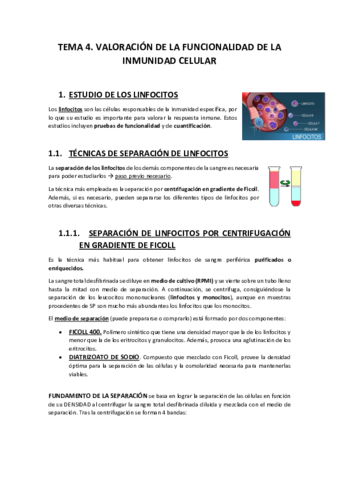 TEMA-4.pdf