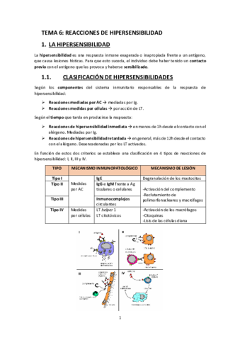 TEMA-6.pdf