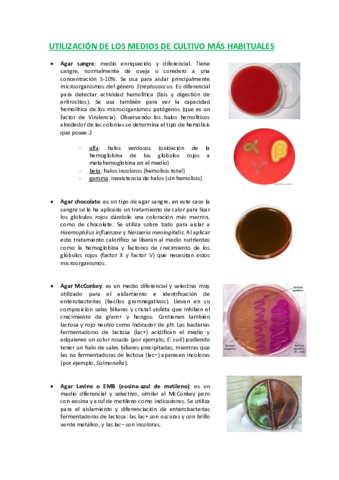 Medios-mas-habitualesesquema-resumen.pdf