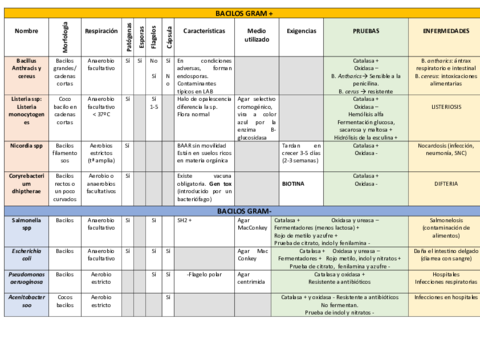 BACILOS-GRAM-tabla.pdf