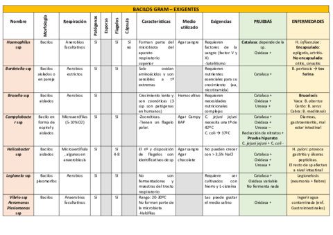 BACILOS-GRAM-tabla.pdf