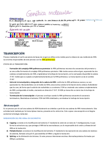 GENETICA-MOLECULAR.pdf