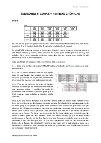 SEMINARIO-4-CURAS-Y-HERIDAS-CRONICAS.pdf