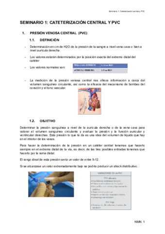 SEMINARIO-1-CATETERIZACION-CENTRAL-Y-PVC.pdf