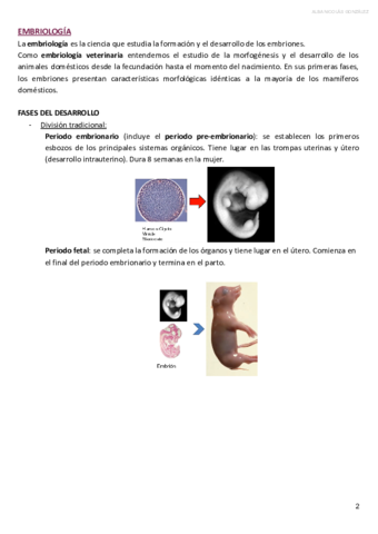 EMBRIOLOGIA-Alba-Nicolas.pdf