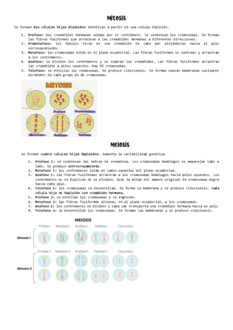MITOSIS-Y-MEIOISIS.pdf