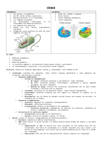 CELULA.pdf