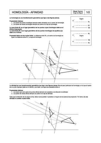 teoria-homologia-afinidad.pdf