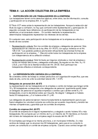 Tema-6-Accion-colectiva-empresa.pdf