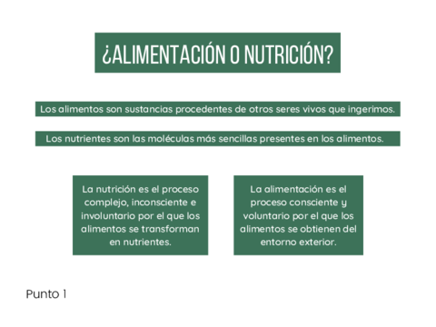 Punto-1.pdf