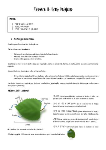 tema-8-vegetal.pdf