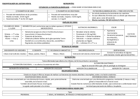 TABLA-FISIOPATO-RENAL.pdf