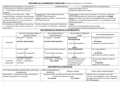 TABLA-FISIOPATO-SNC.pdf