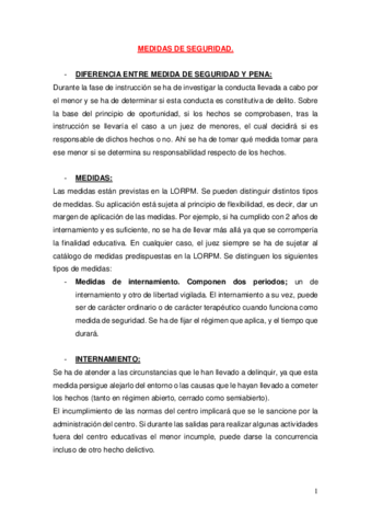 MEDIDAS-DE-SEGURIDAD.pdf