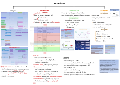 T1-Antibioticos.pdf