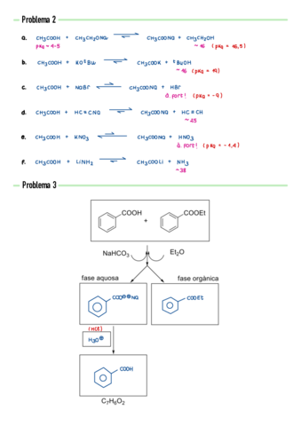 P7-Addicio-nucleofila-al-grup-acil.pdf