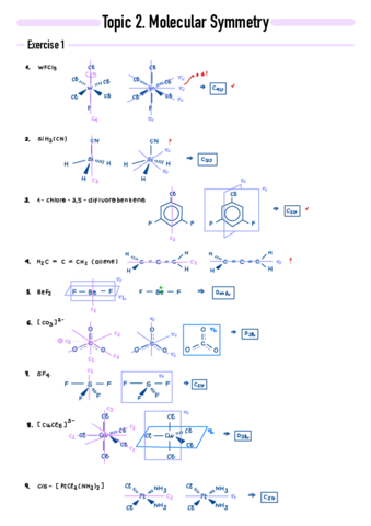 P2-Molecular-Symmetry.pdf