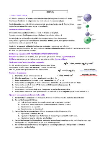 Redox.pdf