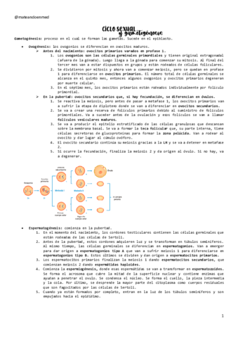 CICLO-SEXUAL-Y-GAMETOGENESIS.pdf