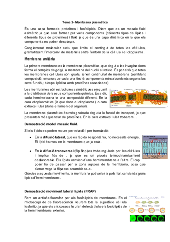 Tema-2.pdf