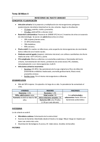 Tema-30-Micro-II.pdf