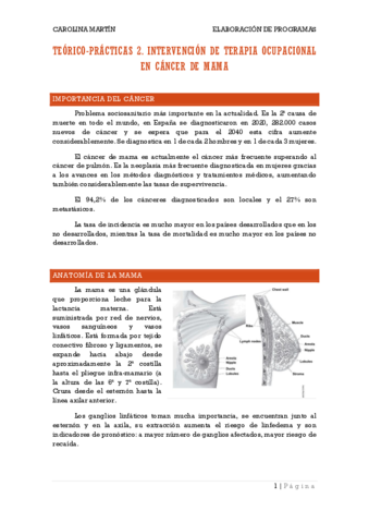TERAPIA-OCUPACIONAL-EN-CANCER-DE-MAMA.pdf