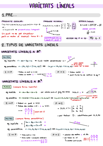 Tema-1 Varietats Lineals.pdf