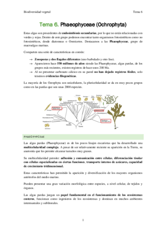 Biodiversidad-vegetal-Tema-6.pdf