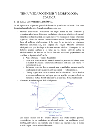 TEMA-7-Edafogenesis-y-morfologia-edafica.pdf