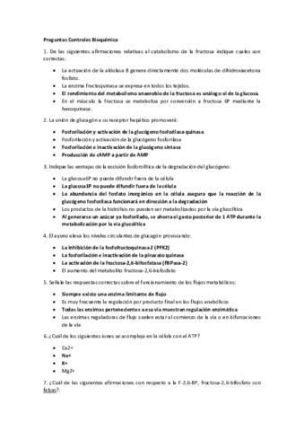 PreguntasControles.pdf